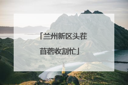 兰州新区头茬苜蓿收割忙