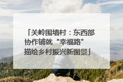 关岭围墙村：东西部协作铺就“幸福路” 描绘乡村振兴新图景