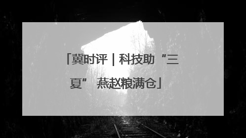 冀时评｜科技助“三夏” 燕赵粮满仓