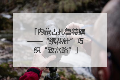 内蒙古扎鲁特旗——“绣花针”巧织“致富路”
