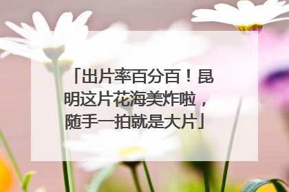 出片率百分百！昆明这片花海美炸啦，随手一拍就是大片