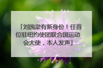 刘国梁有新身份！任首位驻纽约使团联合国运动会大使，本人发声