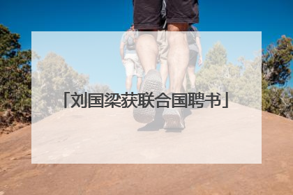 刘国梁获联合国聘书