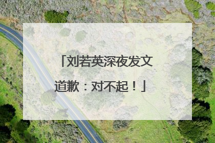 刘若英深夜发文道歉：对不起！