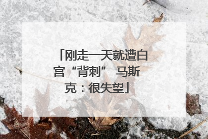 刚走一天就遭白宫“背刺” 马斯克：很失望