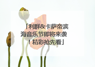 利群&卡萨帝滨海音乐节即将来袭！精彩抢先看