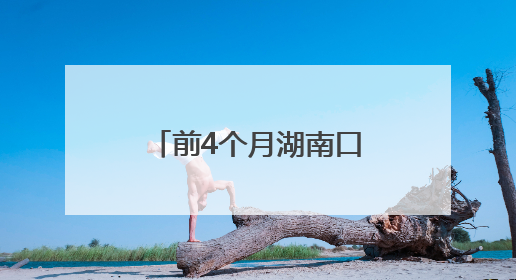 前4个月湖南口岸免签入境外籍旅客增长189%