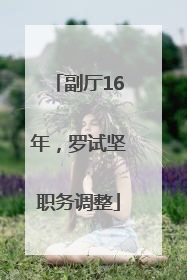 副厅16年，罗试坚职务调整
