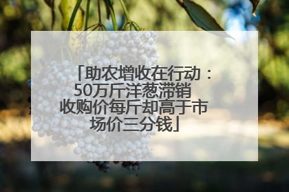 助农增收在行动：50万斤洋葱滞销 收购价每斤却高于市场价三分钱