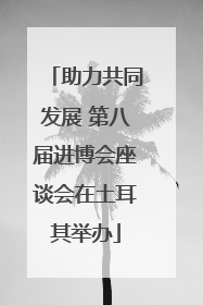 助力共同发展 第八届进博会座谈会在土耳其举办