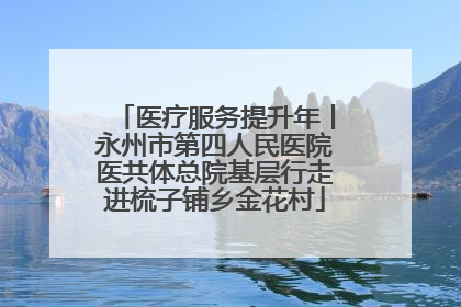 医疗服务提升年丨永州市第四人民医院医共体总院基层行走进梳子铺乡金花村