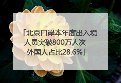 北京口岸本年度出入境人员突破800万人次 外国人占比28.6%
