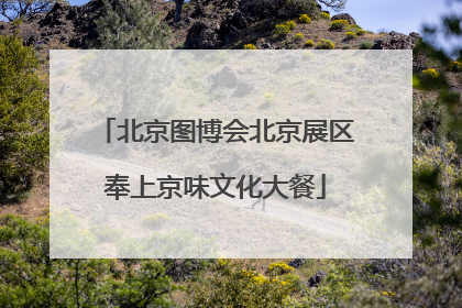 北京图博会北京展区奉上京味文化大餐