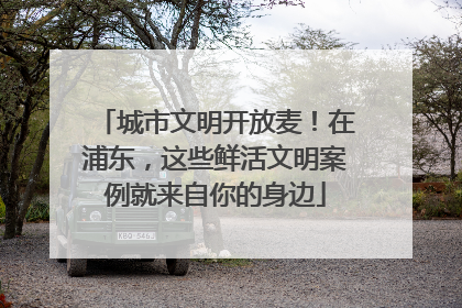 城市文明开放麦！在浦东，这些鲜活文明案例就来自你的身边