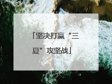 坚决打赢“三夏”攻坚战