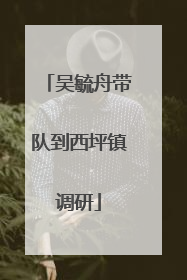 吴毓舟带队到西坪镇调研