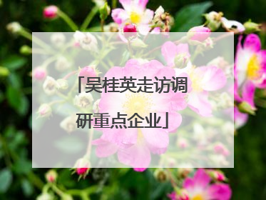 吴桂英走访调研重点企业