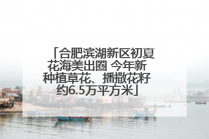 合肥滨湖新区初夏花海美出圈 今年新种植草花、播撒花籽约6.5万平方米