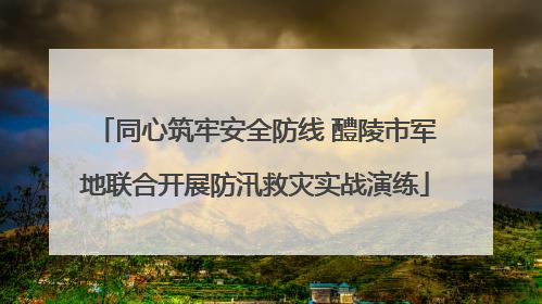 同心筑牢安全防线 醴陵市军地联合开展防汛救灾实战演练