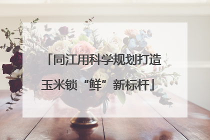 同江用科学规划打造玉米锁“鲜”新标杆