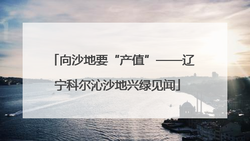 向沙地要“产值”——辽宁科尔沁沙地兴绿见闻