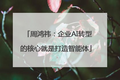 周鸿祎：企业AI转型的核心就是打造智能体