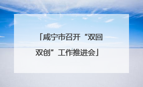咸宁市召开“双回双创”工作推进会