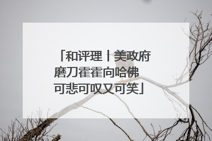 和评理丨美政府磨刀霍霍向哈佛 可悲可叹又可笑