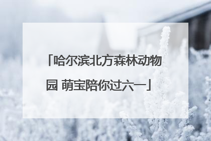 哈尔滨北方森林动物园 萌宝陪你过六一