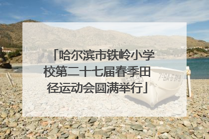 哈尔滨市铁岭小学校第二十七届春季田径运动会圆满举行