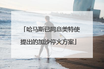 哈马斯已同意美特使提出的加沙停火方案