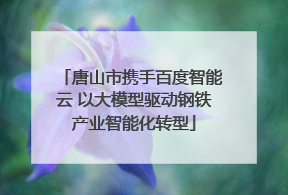 唐山市携手百度智能云 以大模型驱动钢铁产业智能化转型