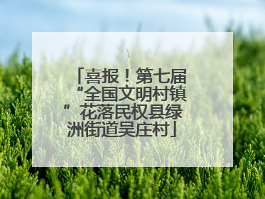 喜报！第七届“全国文明村镇”花落民权县绿洲街道吴庄村