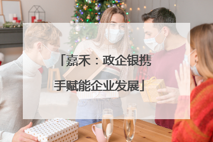 嘉禾：政企银携手赋能企业发展