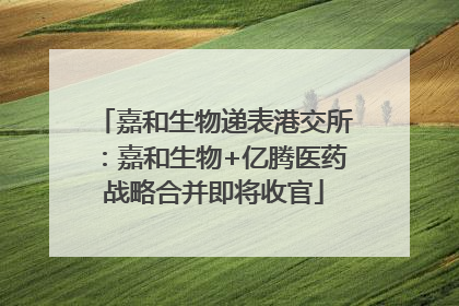 嘉和生物递表港交所：嘉和生物+亿腾医药战略合并即将收官