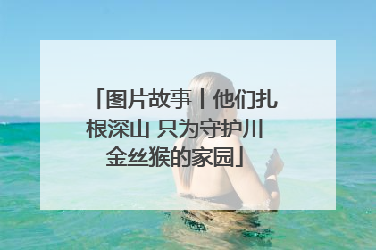 图片故事丨他们扎根深山 只为守护川金丝猴的家园