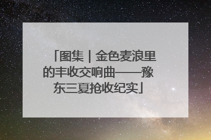 图集｜金色麦浪里的丰收交响曲——豫东三夏抢收纪实