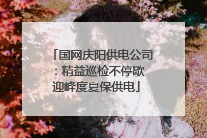 国网庆阳供电公司：精益巡检不停歇 迎峰度夏保供电