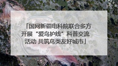 国网新疆电科院联合多方开展“爱鸟护线”科普交流活动 共筑鸟类友好城市