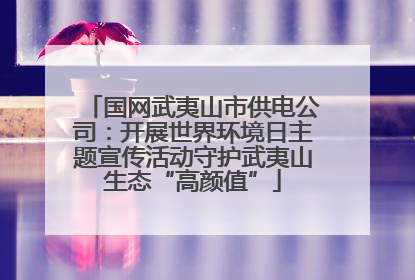 国网武夷山市供电公司：开展世界环境日主题宣传活动守护武夷山生态“高颜值”