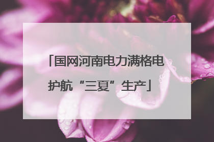 国网河南电力满格电护航“三夏”生产