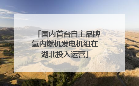 国内首台自主品牌氢内燃机发电机组在湖北投入运营