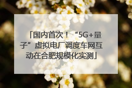 国内首次！“5G+量子”虚拟电厂调度车网互动在合肥规模化实测
