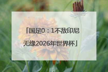 国足0：1不敌印尼 无缘2026年世界杯
