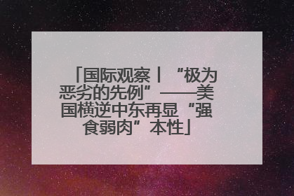 国际观察丨“极为恶劣的先例”——美国横逆中东再显“强食弱肉”本性