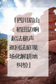 四川眉山：稻田边响起法槌声 巡回法庭现场化解耕地纠纷