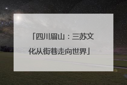 四川眉山：三苏文化从街巷走向世界