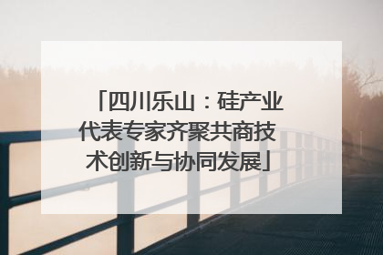 四川乐山：硅产业代表专家齐聚共商技术创新与协同发展
