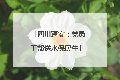 四川蓬安：党员干部送水保民生