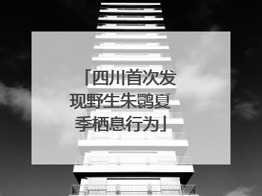 四川首次发现野生朱鹮夏季栖息行为